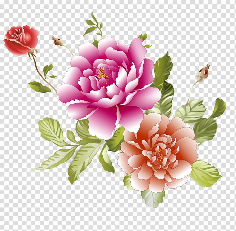 pink and orange rose flowers illustration, Centifolia roses Floral design Cut flowers Peony Artificial flower, Peony transparent background PNG clipart