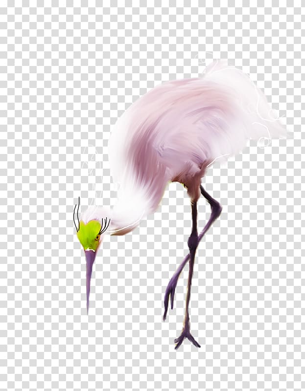 Bird Ardea, Rose lute mouth heron transparent background PNG clipart