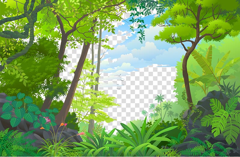 Landscape Jungle Euclidean Tropical rainforest, forest, green leafed trees  transparent background PNG clipart | HiClipart