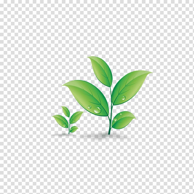 , Leaves of grass transparent background PNG clipart