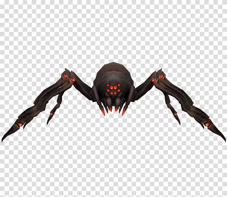 Arachnid Insect Decapoda, insect transparent background PNG clipart