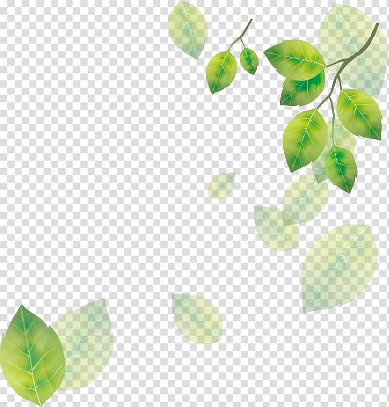 yellow-and-green leaves , Leaf Tree, Tree leaves transparent background PNG clipart