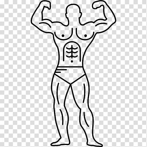 Muscle Human body Arm Muscular system, bodybuilders transparent background PNG clipart