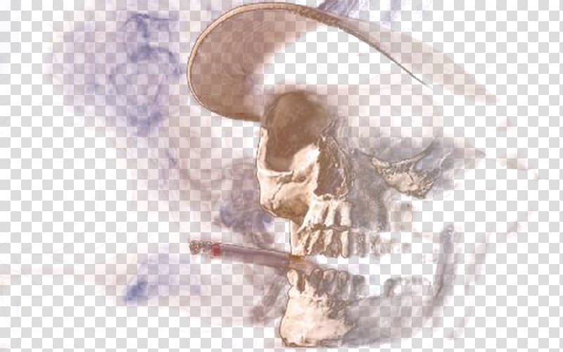 smoking skull art, Smoke Tobacco smoking , Smoking skull transparent background PNG clipart