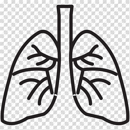 Lung Organ Computer Icons , Lung Best transparent background PNG clipart