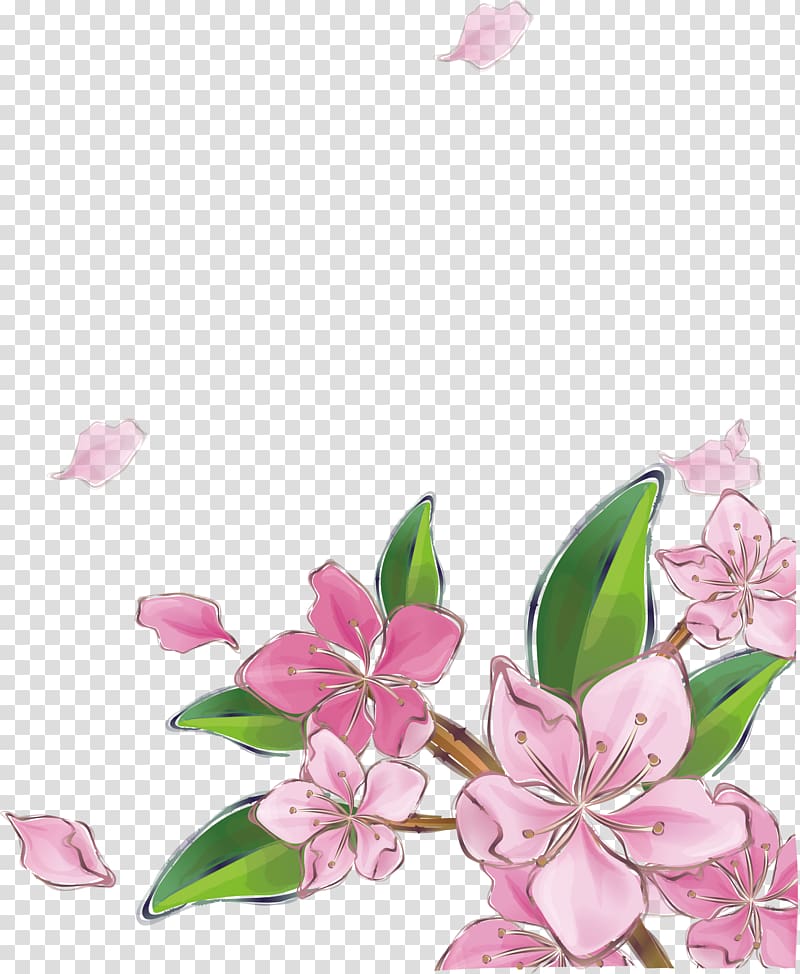 pink cherry blossom flower, Pink Peach Blossom transparent background PNG clipart