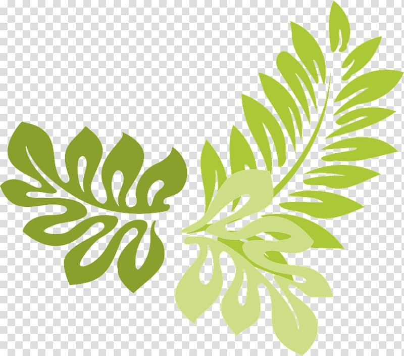 Leaf Fern , parsley transparent background PNG clipart