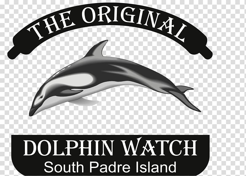 American Diving, The Original Dolphin Watch South Padre Island, Texas Padre Boulevard, dolphin transparent background PNG clipart