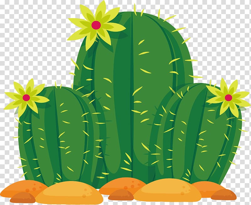 three green cactus plants illustration, Cactaceae Sonoran Desert Euclidean , Yellow flower cactus transparent background PNG clipart