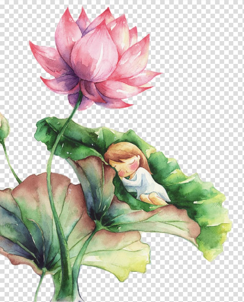 painting of girl in leaf, Watercolor painting Nelumbo nucifera Landscape painting, Chinese wind sleeping on the lotus leaves of a child transparent background PNG clipart