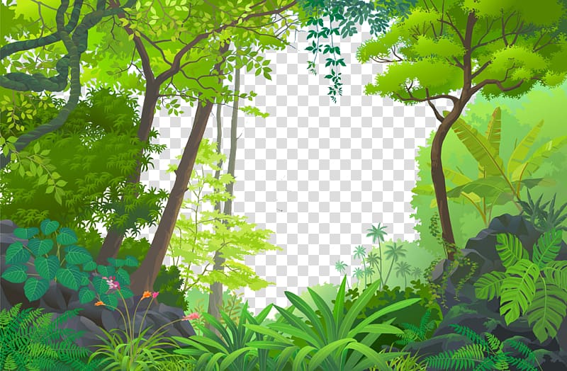 Jungle Euclidean Tropical rainforest, Cartoon Forest, forest transparent background PNG clipart