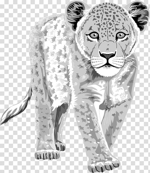 The Snow Leopard Tiger , Snow Leopard transparent background PNG clipart