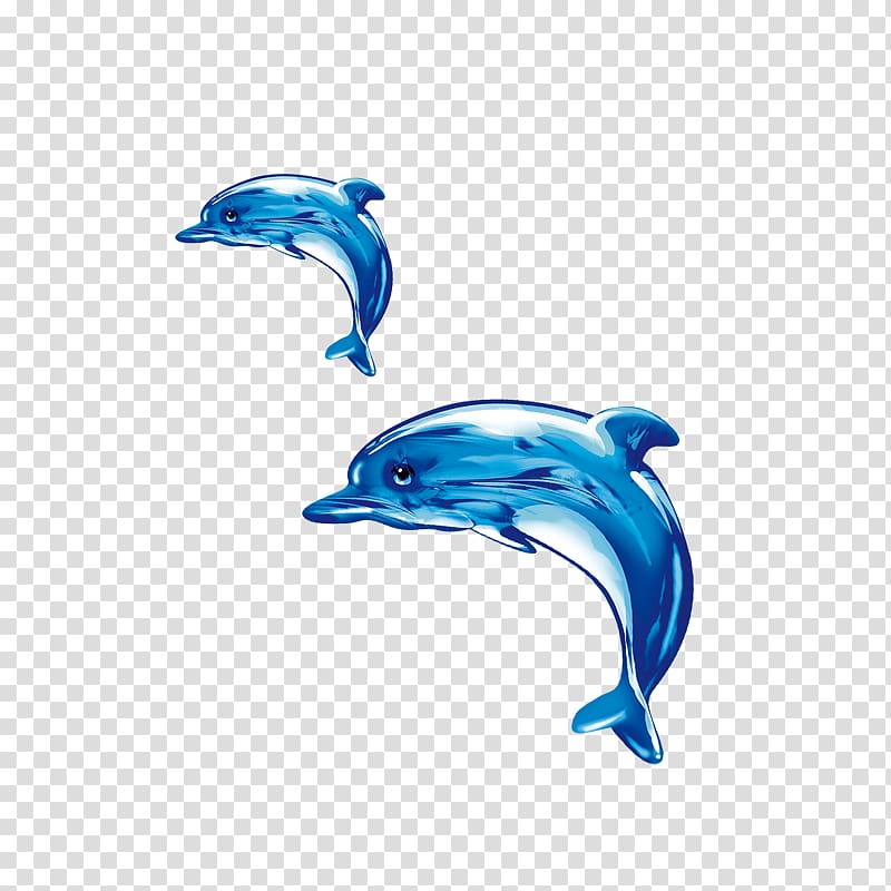 Common bottlenose dolphin Short-beaked common dolphin Tucuxi Wholphin, dolphin transparent background PNG clipart