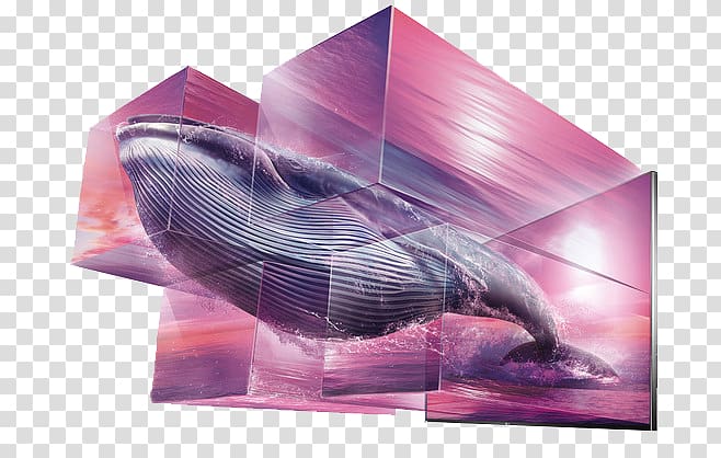 Advertising Art Director Creativity Television, whale transparent background PNG clipart