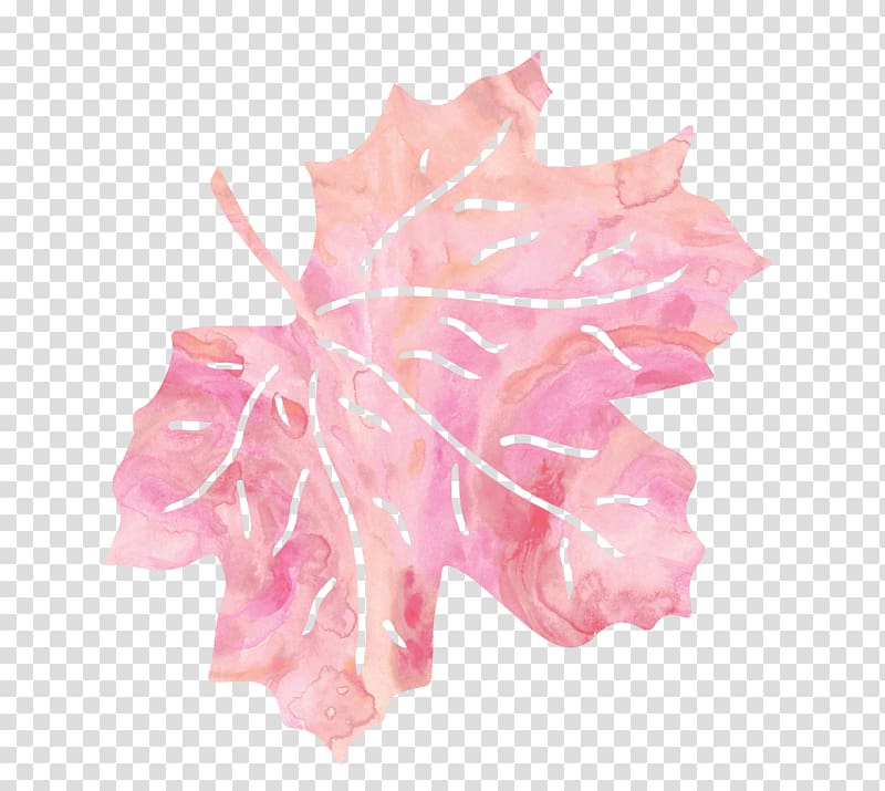 Leaf Pink Petal, Pink leaves transparent background PNG clipart