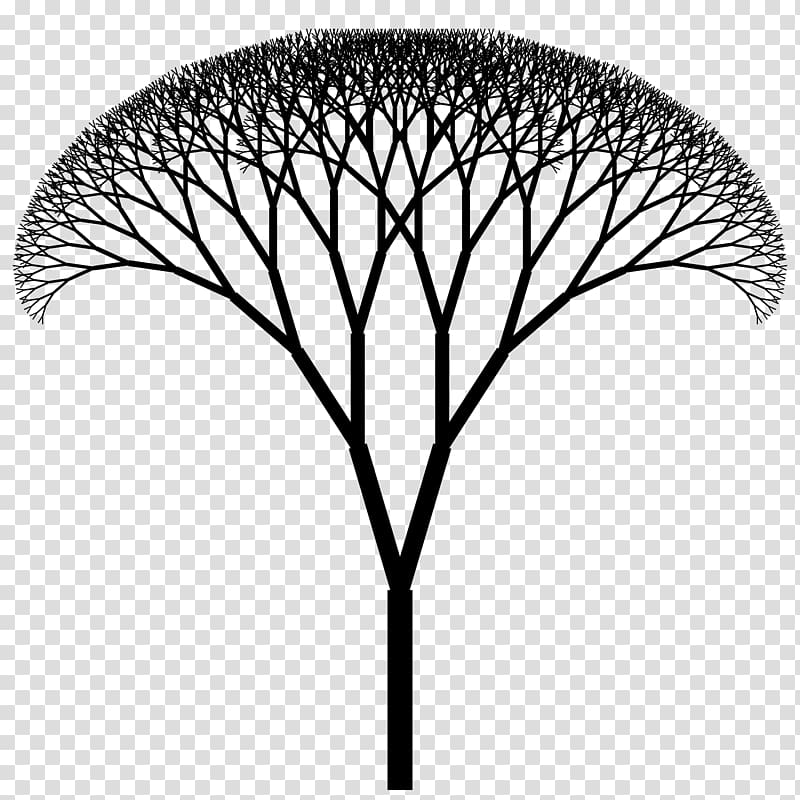 The Fractal Geometry of Nature Fractal canopy Fractal art Fractal tree index, fractal geometry transparent background PNG clipart