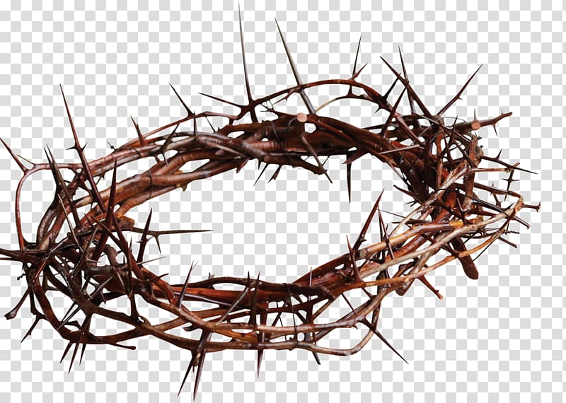 crown of thorns, Crown of thorns Christian cross Symbol Thorns, spines, and prickles , metal nail transparent background PNG clipart