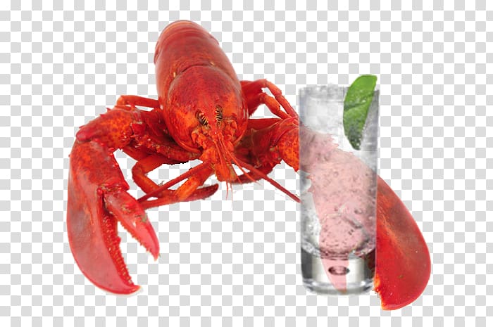 American lobster European lobster Crab Crayfish Beer, beer with lobster transparent background PNG clipart