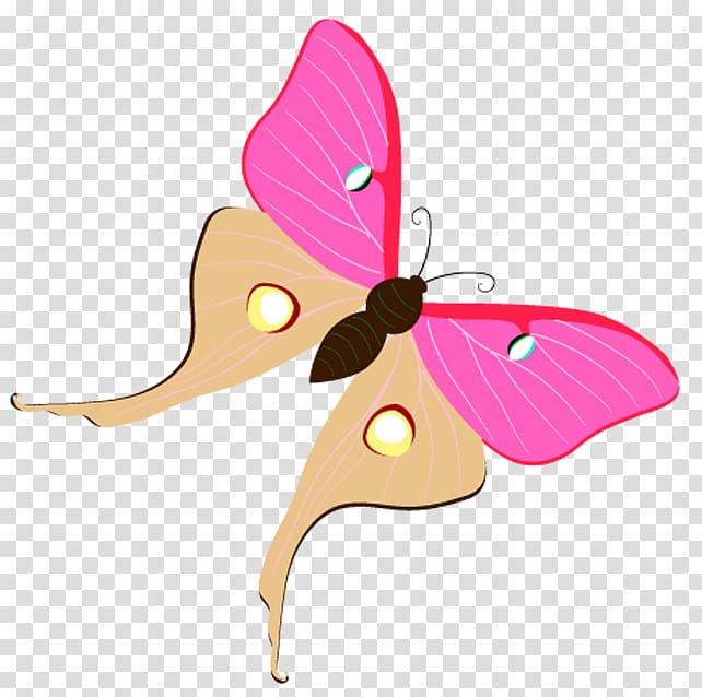 Butterfly Moth , butterfly transparent background PNG clipart