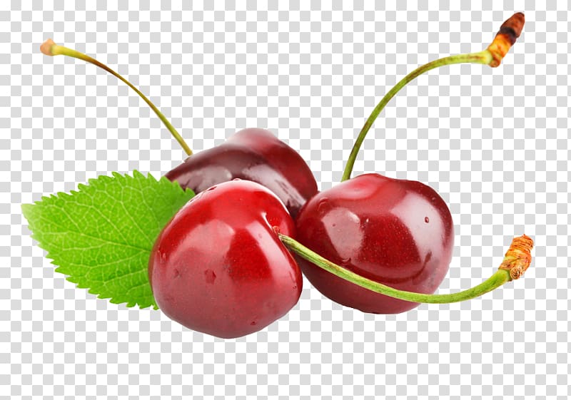 Cherry Cerasus Frutti di bosco, Cherry transparent background PNG clipart