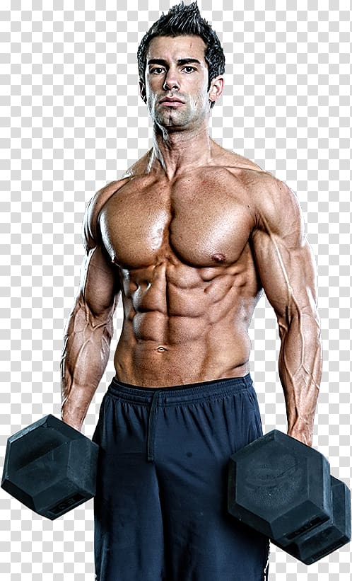 Dietary supplement Bodybuilding Human body Exercise Muscle, bodybuilding transparent background PNG clipart