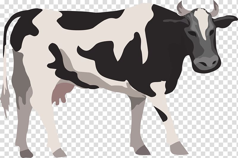 black and white cattle , Cattle Live Farm Illustration, Cow transparent background PNG clipart