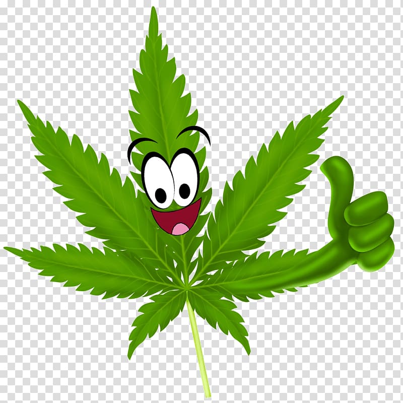 Medical cannabis Legality of cannabis 420 Day Marijuana, cannabis seeds transparent background PNG clipart