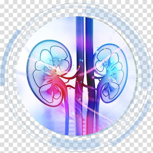 Hemodialysis Kidney transplantation Hospital, others transparent background PNG clipart