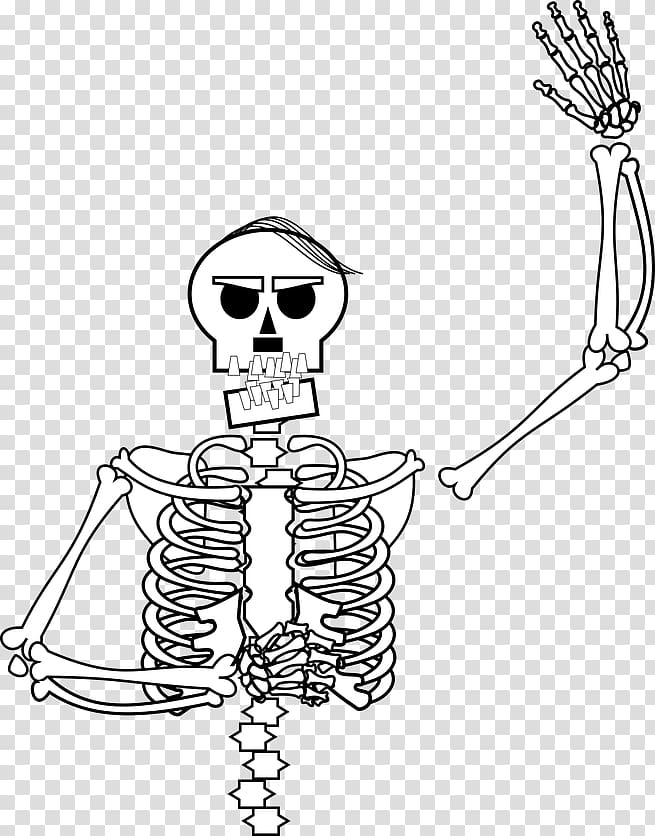 Homo sapiens Human skeleton Line art Bone , skelleton transparent background PNG clipart
