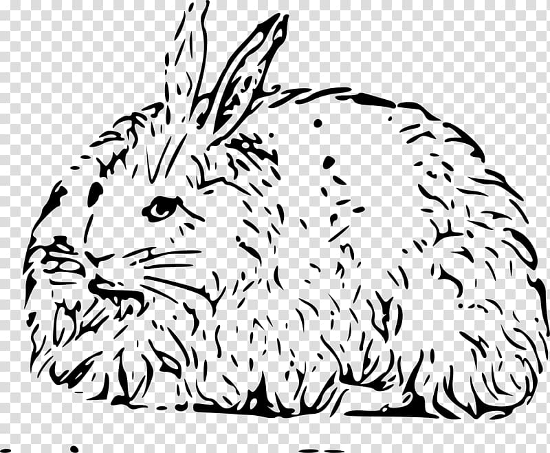 Angora rabbit Easter Bunny Hare Domestic rabbit , rabbit transparent background PNG clipart