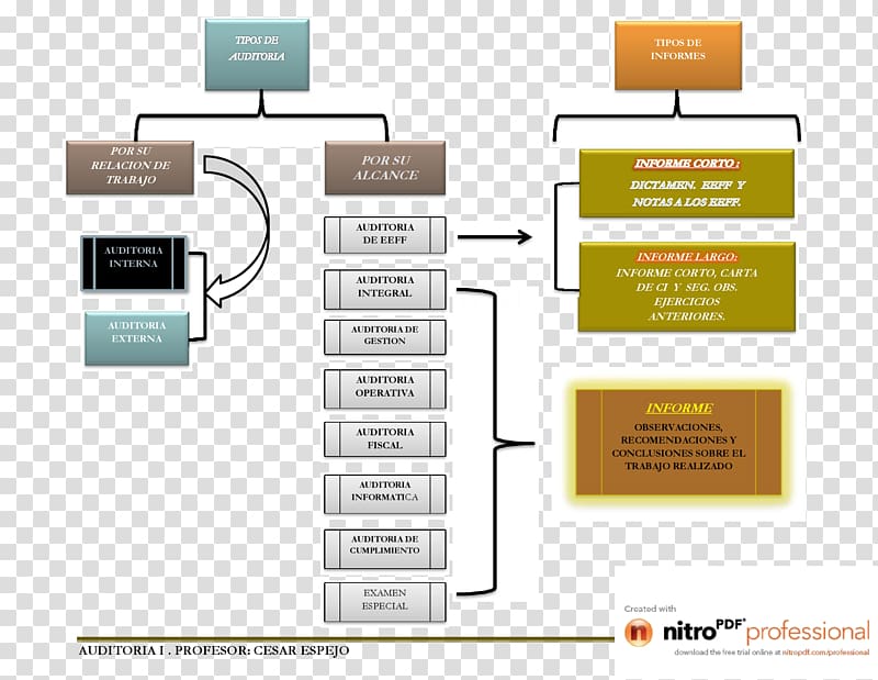 Audit Report Esquema conceptual Organization Quality management system, segurança transparent background PNG clipart