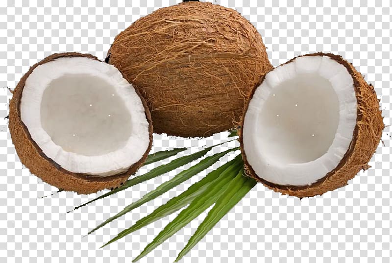 coconut husk, Coconut water Coconut milk powder Coconut candy, coconut transparent background PNG clipart