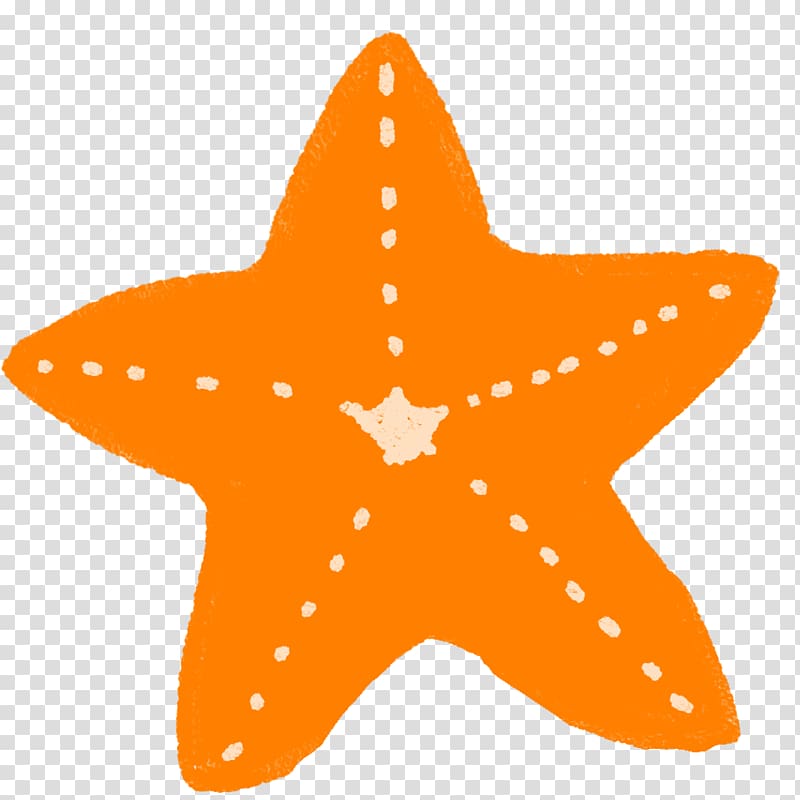 Starfish Echinoderm Patiria pectinifera, starfish transparent background PNG clipart