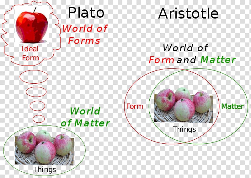 On the Soul Phaedo Hylomorphism Aristotle\'s theory of universals Theory of forms, Chiswick transparent background PNG clipart