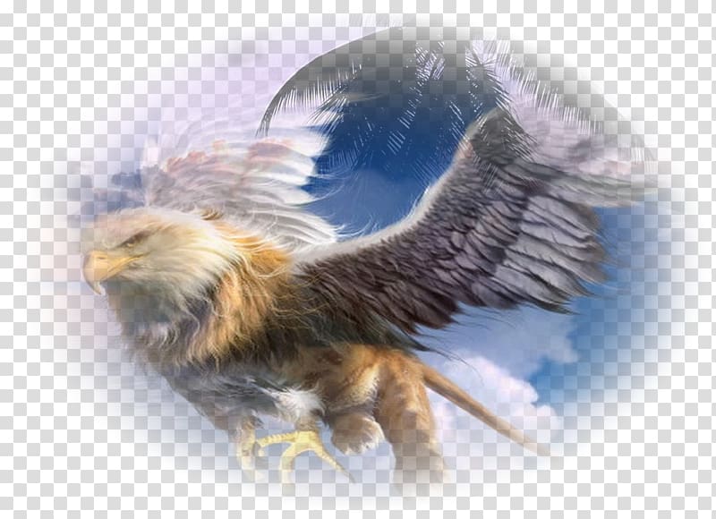 Griffin Legendary creature Mythology Dragon Eagle, Griffin transparent background PNG clipart