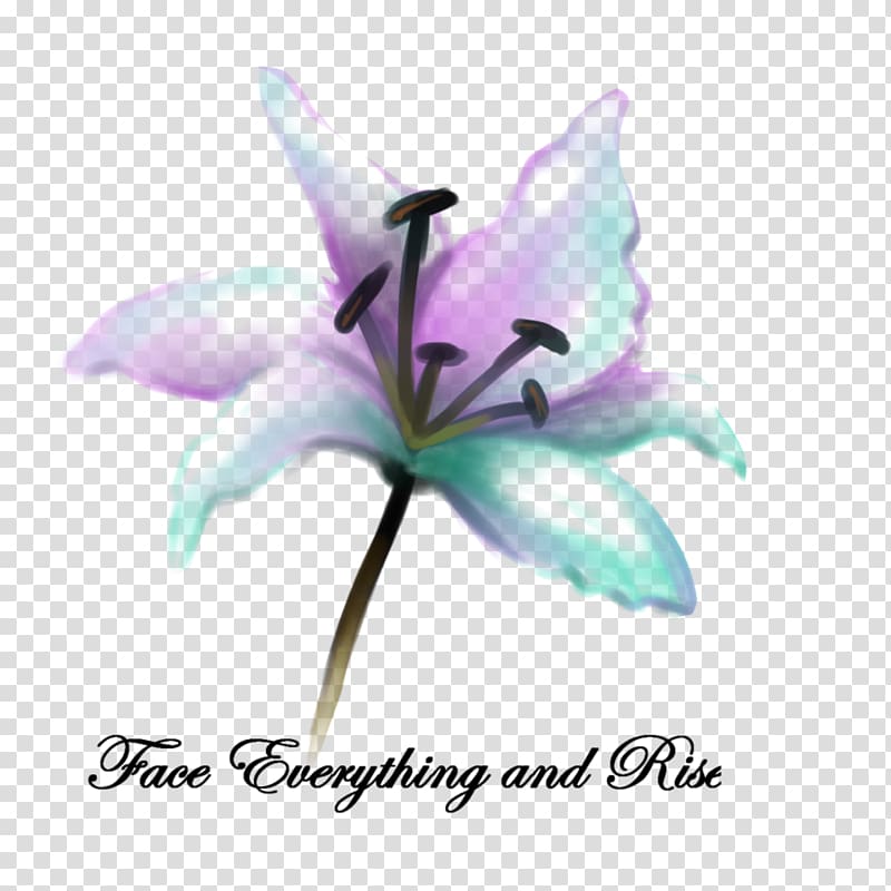 Plant stem Lily M, turquoise water colour transparent background PNG clipart