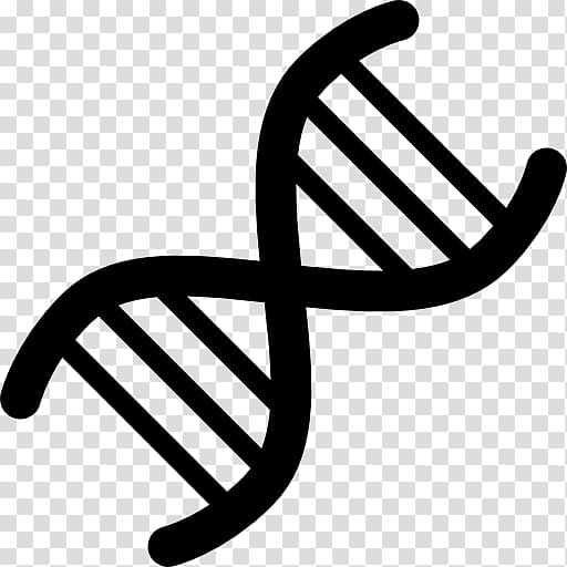 DNA Genetics Computer Icons, transparent background PNG clipart