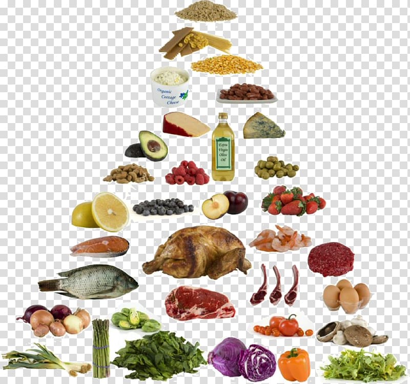 Low-carbohydrate diet Atkins diet Ketogenic diet, health transparent background PNG clipart