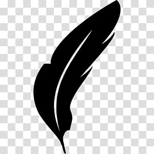 Black Feather PNG Transparent Images Free Download, Vector Files