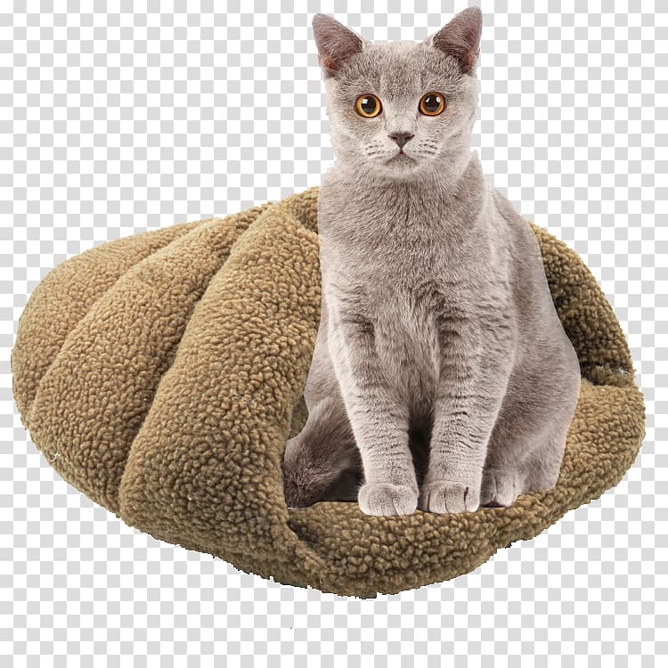 Cat Kitten Dog Nightstand Bed, Sleeping bag cat transparent background PNG clipart