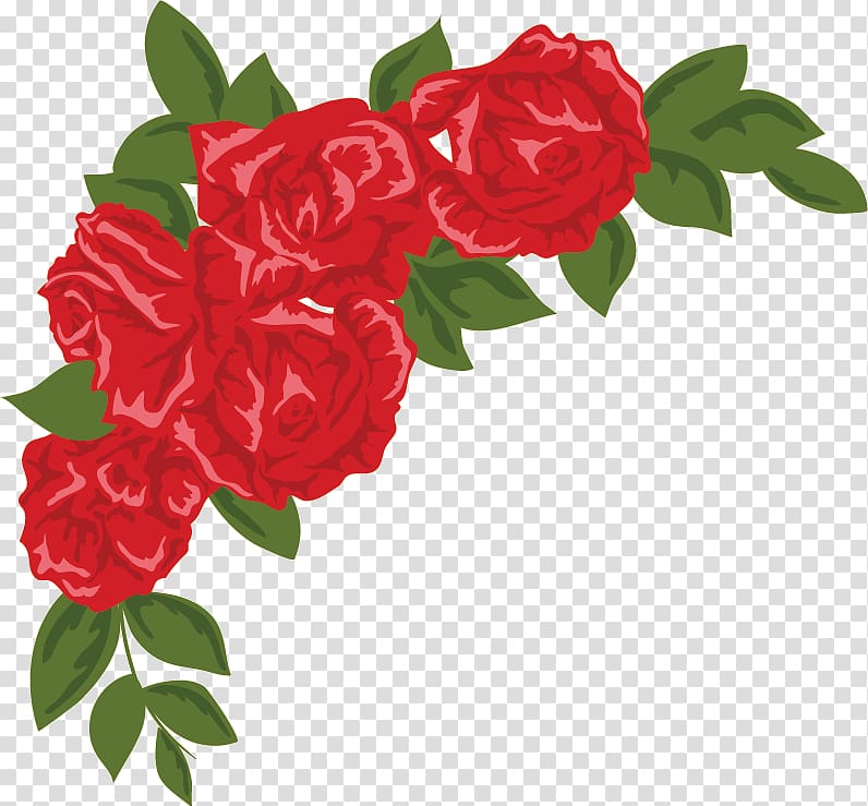 Garden roses Drawing Cabbage rose Floribunda, Red rose corner transparent background PNG clipart