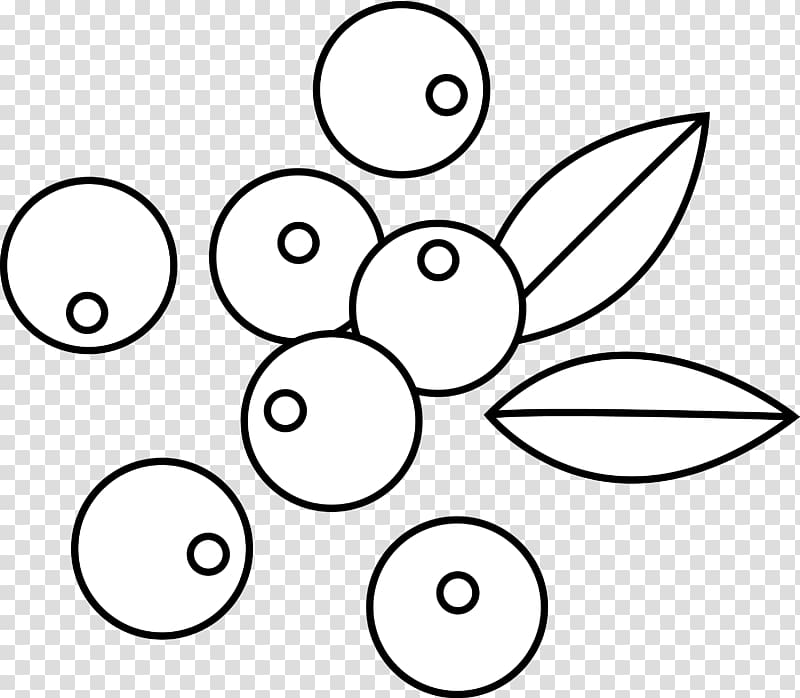 Blueberry Drawing , berries transparent background PNG clipart
