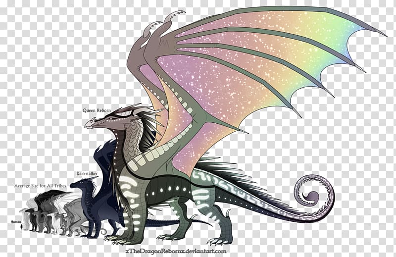 Wings of Fire The Dragonet Prophecy Art, reborn transparent background PNG clipart