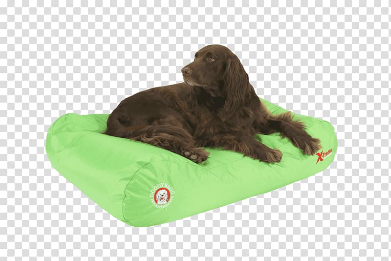 Boykin Spaniel Dog breed Flat-Coated Retriever Puppy, puppy transparent background PNG clipart