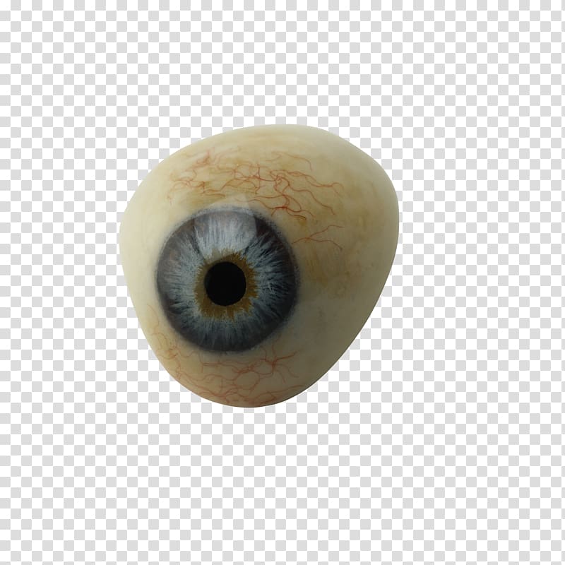 Eye Pupil Euclidean , Eye transparent background PNG clipart