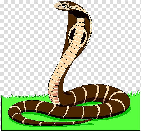 Snake Animated film , snake transparent background PNG clipart