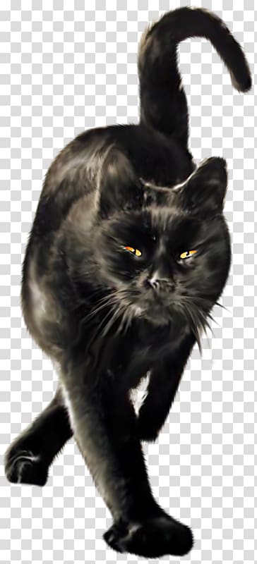 Black cat Wildcat Domestic short-haired cat Le Chat Noir, Cat transparent background PNG clipart