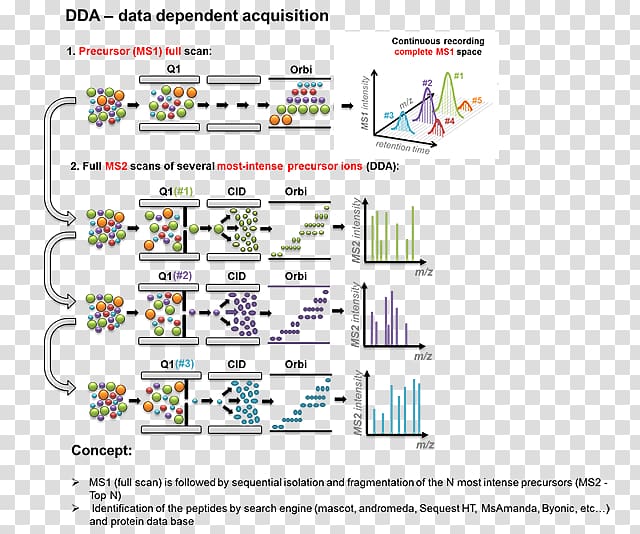 Quantitative proteomics Data-independent acquisition Mass spectrometry Orbitrap, others transparent background PNG clipart