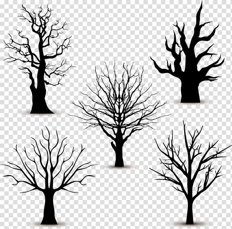 five silhouette trees, Tree Silhouette Euclidean , 5 black trees without leaves transparent background PNG clipart