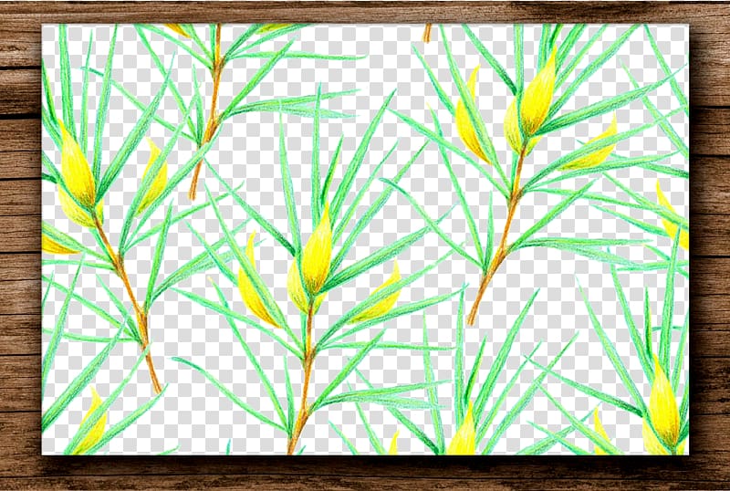Plant Euclidean , Hand-painted floral motifs frame transparent background PNG clipart